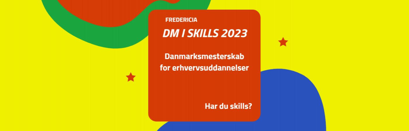 DM i skills 2023